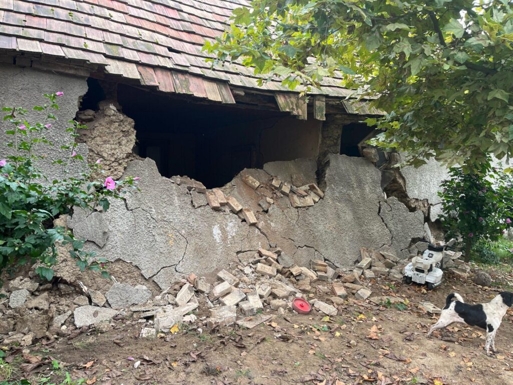 72 kutyát mentettek ki Pusztavámon egy házomlás után!